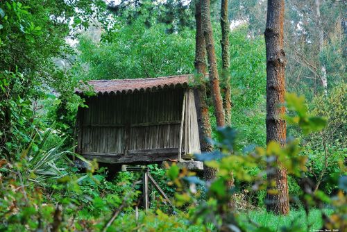 Fotografia de Francesc Dur - Galeria Fotografica: Camino de Santiago 2009 - Foto: 