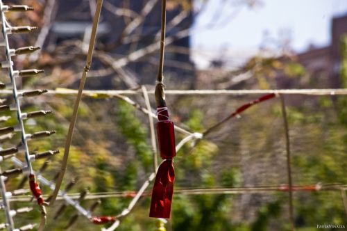 Fotografia de PaulaVinaixa Fotografia - Galeria Fotografica: FALLAS 2009 - Foto: 