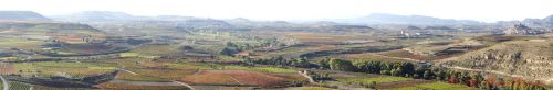 Fotografia de J.M. Zorzano - Galeria Fotografica: Panormicas de La Rioja (Espaa) - Foto: Vi?edos de San Asensio (La Rioja-Espa?a) 02