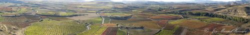 Fotografia de J.M. Zorzano - Galeria Fotografica: Panormicas de La Rioja (Espaa) - Foto: Vi?edos de San Asensio (La Rioja-Espa?a) 03
