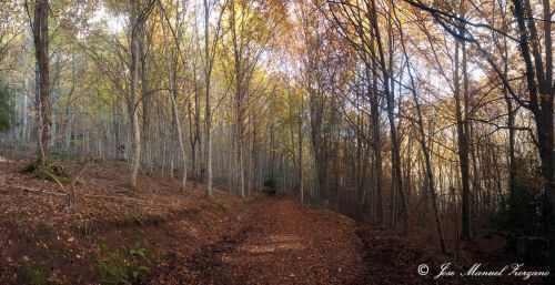 Fotografia de J.M. Zorzano - Galeria Fotografica: Otoo en La Demanda (La Rioja-Espaa) - Foto: La Demanda (La Rioja-Espa?a)