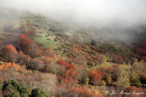 Fotografia de J.M. Zorzano - Galeria Fotografica: Otoo en La Demanda (La Rioja-Espaa) - Foto: La Demanda (La Rioja-Espa?a)