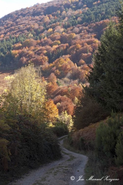 Fotografia de J.M. Zorzano - Galeria Fotografica: Otoo en La Demanda (La Rioja-Espaa) - Foto: La Demanda (La Rioja-Espa?a)