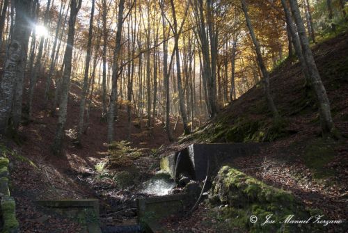 Fotografia de J.M. Zorzano - Galeria Fotografica: Otoo en La Demanda (La Rioja-Espaa) - Foto: La Demanda (La Rioja-Espa?a)