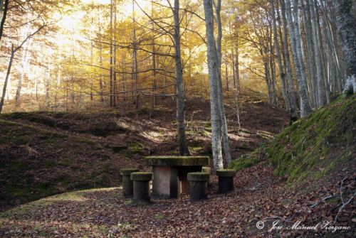 Fotografia de J.M. Zorzano - Galeria Fotografica: Otoo en La Demanda (La Rioja-Espaa) - Foto: La Demanda (La Rioja-Espa?a)
