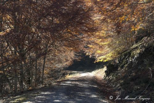 Fotografia de J.M. Zorzano - Galeria Fotografica: Otoo en La Demanda (La Rioja-Espaa) - Foto: La Demanda (La Rioja-Espa?a)