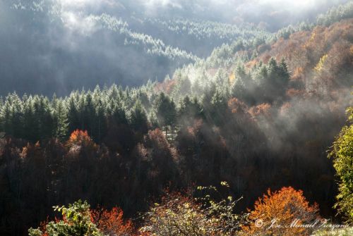 Fotografia de J.M. Zorzano - Galeria Fotografica: Otoo en La Demanda (La Rioja-Espaa) - Foto: 