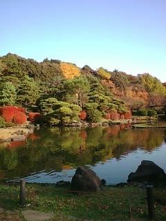 Fotografia de shashin - Galeria Fotografica: naturaleza viva - Foto: 