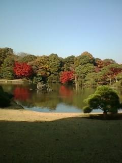 Fotografia de shashin - Galeria Fotografica: naturaleza viva - Foto: 