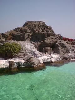 Fotografia de shashin - Galeria Fotografica: naturaleza viva - Foto: 