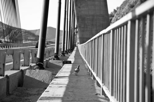 Fotografia de Vicente Garca foto - Galeria Fotografica: HDR - Foto: 