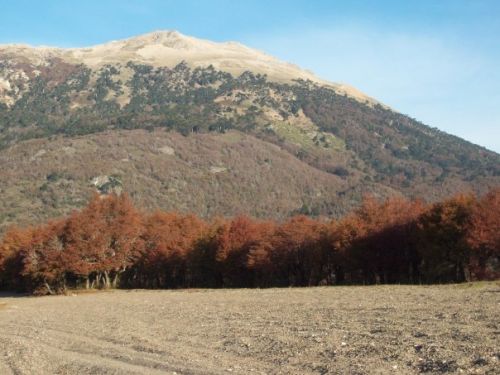 Fotografia de tavo64 - Galeria Fotografica: pehuenia, patagonia argentina - Foto: 