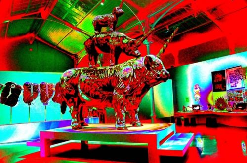 Fotografia de JOSE FERMIN FERNANDEZ VALIENTE - Galeria Fotografica: JOSE FERMIN FERNANDEZ VALIENTE - Foto: JOSE FERMIN FERNANDEZ VALIENTE