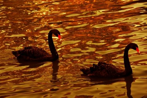 Fotografia de JOSE FERMIN FERNANDEZ VALIENTE - Galeria Fotografica: JOSE FERMIN FERNANDEZ VALIENTE - Foto: JOSE FERMIN FERNANDEZ VALIENTE