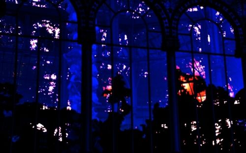 Fotografia de JOSE FERMIN FERNANDEZ VALIENTE - Galeria Fotografica: JOSE FERMIN FERNANDEZ VALIENTE - Foto: JOSE FERMIN FERNANDEZ VALIENTE