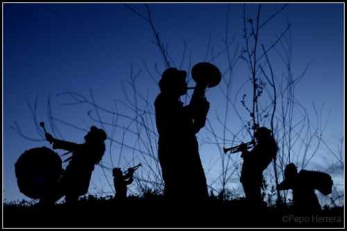 Fotografia de Pepo Herrera - Galeria Fotografica: books - Foto: 