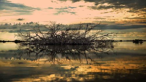 Fotografia de Valds - Galeria Fotografica: Muestras - Foto: 