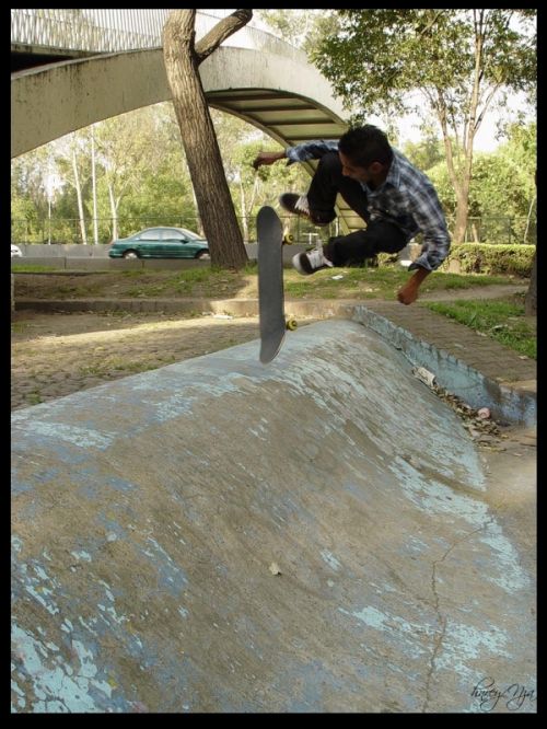 Fotografia de henrydnb - Galeria Fotografica: Skate equal to Life/ Skate igual a vida - Foto: Rana Flip