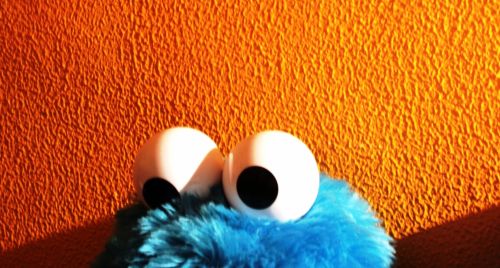 Fotografia de Grooveboy - Galeria Fotografica: Things - Foto: I want Cookies!