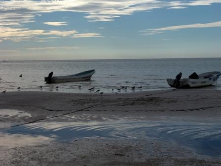 Fotografia de Jos Ma. Alva Lefaure - Galeria Fotografica: Playas de Cancn y Riviera Maya - Foto: 