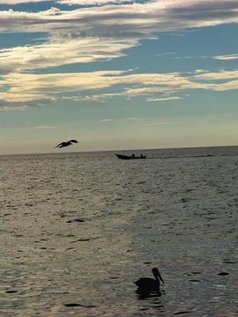 Fotografia de Jos Ma. Alva Lefaure - Galeria Fotografica: Playas de Cancn y Riviera Maya - Foto: 