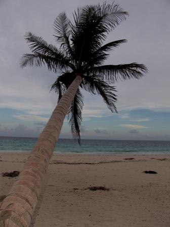 Fotografia de Jos Ma. Alva Lefaure - Galeria Fotografica: Playas de Cancn y Riviera Maya - Foto: 