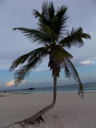 Fotografia de Jos Ma. Alva Lefaure - Galeria Fotografica: Playas de Cancn y Riviera Maya - Foto: 