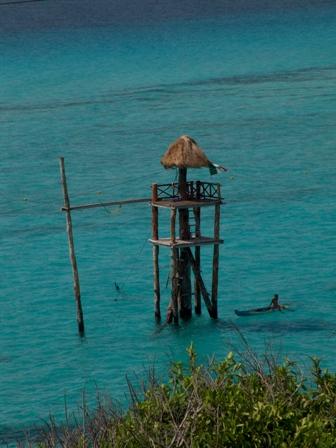 Fotografia de Jos Ma. Alva Lefaure - Galeria Fotografica: Playas de Cancn y Riviera Maya - Foto: 