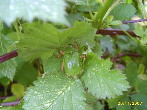 Fotografia de ���k/h��� - Galeria Fotografica: Fotografias - Foto: San Juan