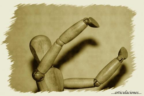 Fotografia de milmariposas - Galeria Fotografica: miscelanea - Foto: articulaciones