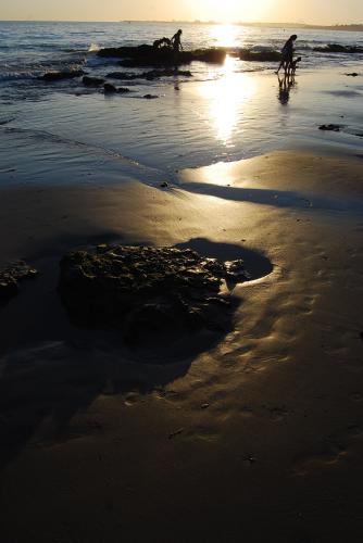 Fotografia de Carlos Contreras - Galeria Fotografica: Recortes - Foto: Atardecer