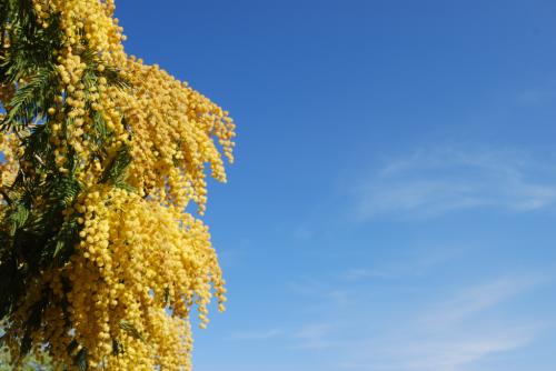 Fotografia de Carlos Contreras - Galeria Fotografica: Recortes - Foto: Color