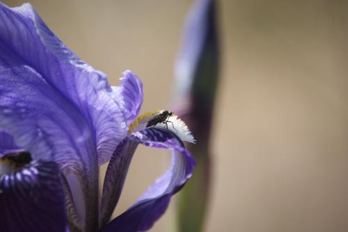 Fotografia de Carlos Contreras - Galeria Fotografica: Recortes - Foto: Detalle 3