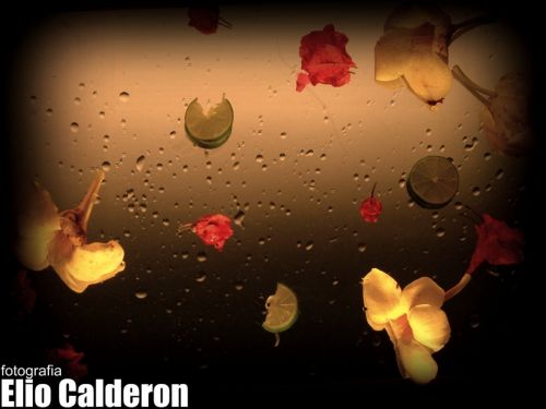 Fotografia de Elio Caldern Foto Fija - Galeria Fotografica: Foto Fija  - Foto: 