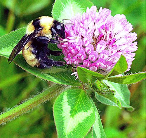 Fotografia de JUAN JOSE EGUIZABAL - Galeria Fotografica: juan jose eguizabal - Foto: 