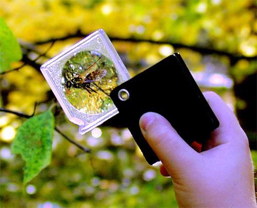 Fotografia de JUAN JOSE EGUIZABAL - Galeria Fotografica: juan jose eguizabal - Foto: 