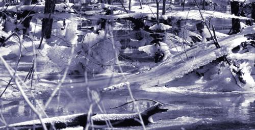 Fotografia de JUAN JOSE EGUIZABAL - Galeria Fotografica: juan jose eguizabal 2 - Foto: 