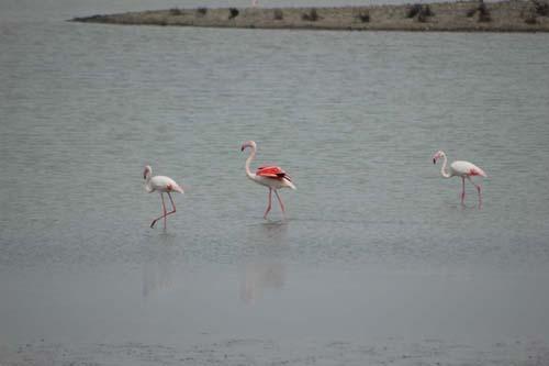 Fotografia de victor samuel - Galeria Fotografica: comarca - Foto: 