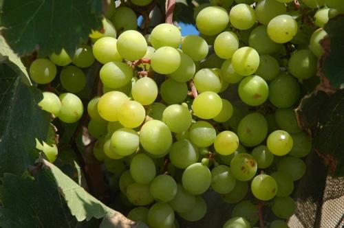 Fotografia de victor samuel - Galeria Fotografica: Cabo de Gata. - Foto: 