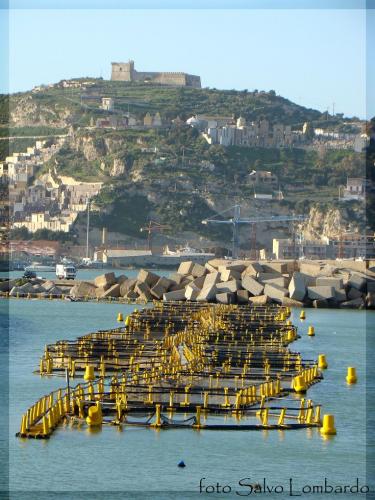 Fotografia de el italiano - Galeria Fotografica: Sicilia - Foto: 		puerto de Licata						