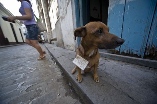 Fotografia de ariel arias - Galeria Fotografica: Trabajos de Ariel - Foto: 