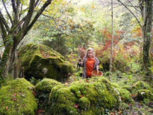 Fotografia de romar - Galeria Fotografica: sella - Foto: 