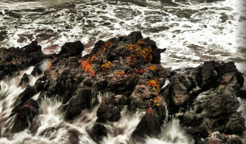 Fotografia de romar - Galeria Fotografica: sella - Foto: 