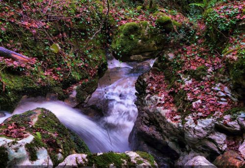 Fotografia de romar - Galeria Fotografica: sella - Foto: beyu pen