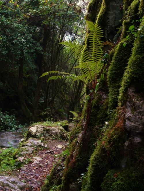 Fotografia de romar - Galeria Fotografica: sella - Foto: 