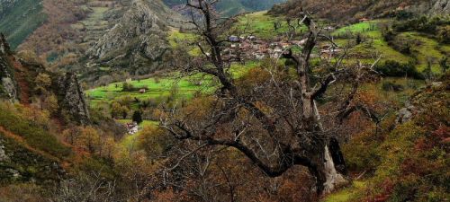 Fotografia de romar - Galeria Fotografica: sella - Foto: 