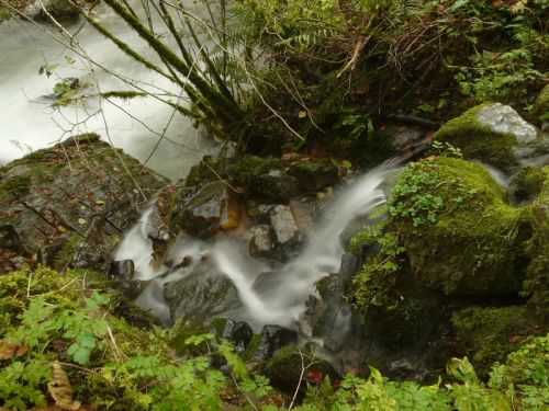 Fotografia de romar - Galeria Fotografica: sella - Foto: 