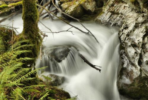 Fotografia de romar - Galeria Fotografica: sella - Foto: 