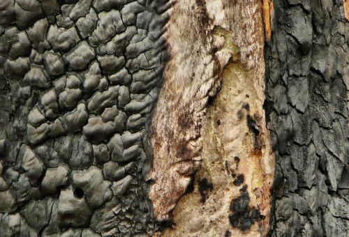 Fotografia de romar - Galeria Fotografica: sella - Foto: 