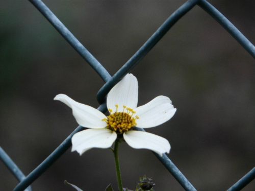 Fotografia de romar - Galeria Fotografica: sella - Foto: 